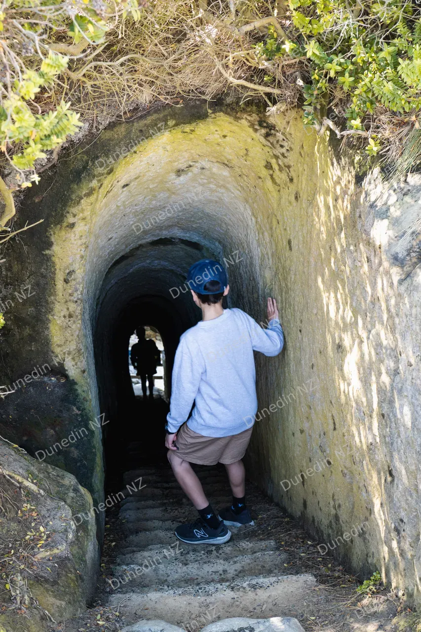 SCENIC_TunnelBeach2024_018_DunedinNZ