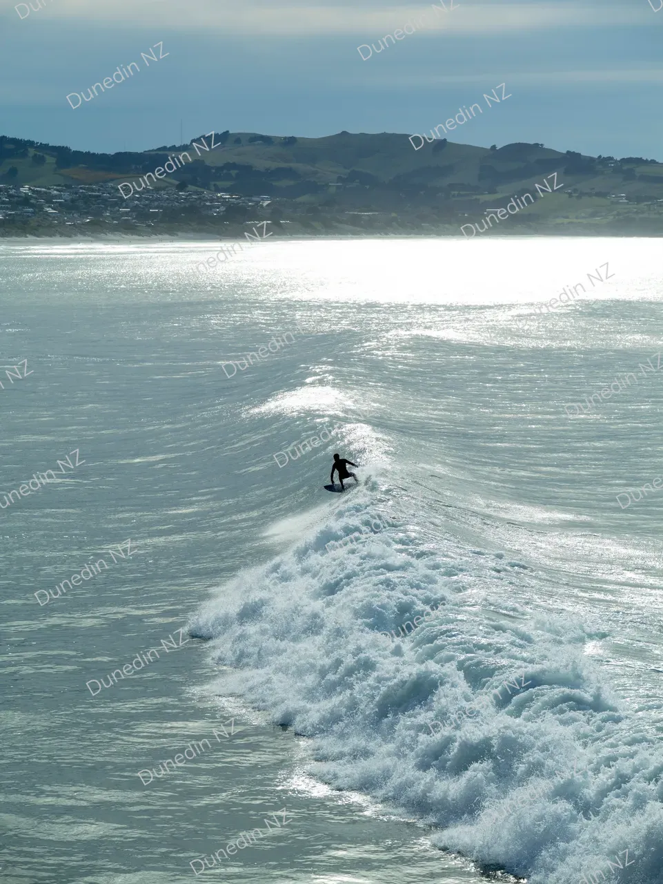 SCENIC_StClairCoast_DunedinNZ_007_P1464746