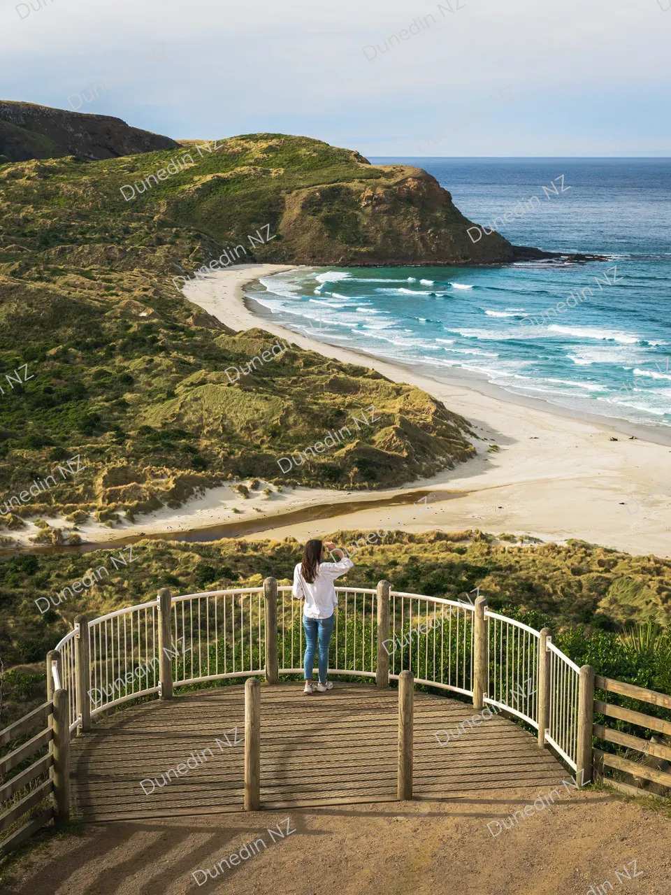 SCENIC_SandFlyBay_DunedinNZ_IMG_3441
