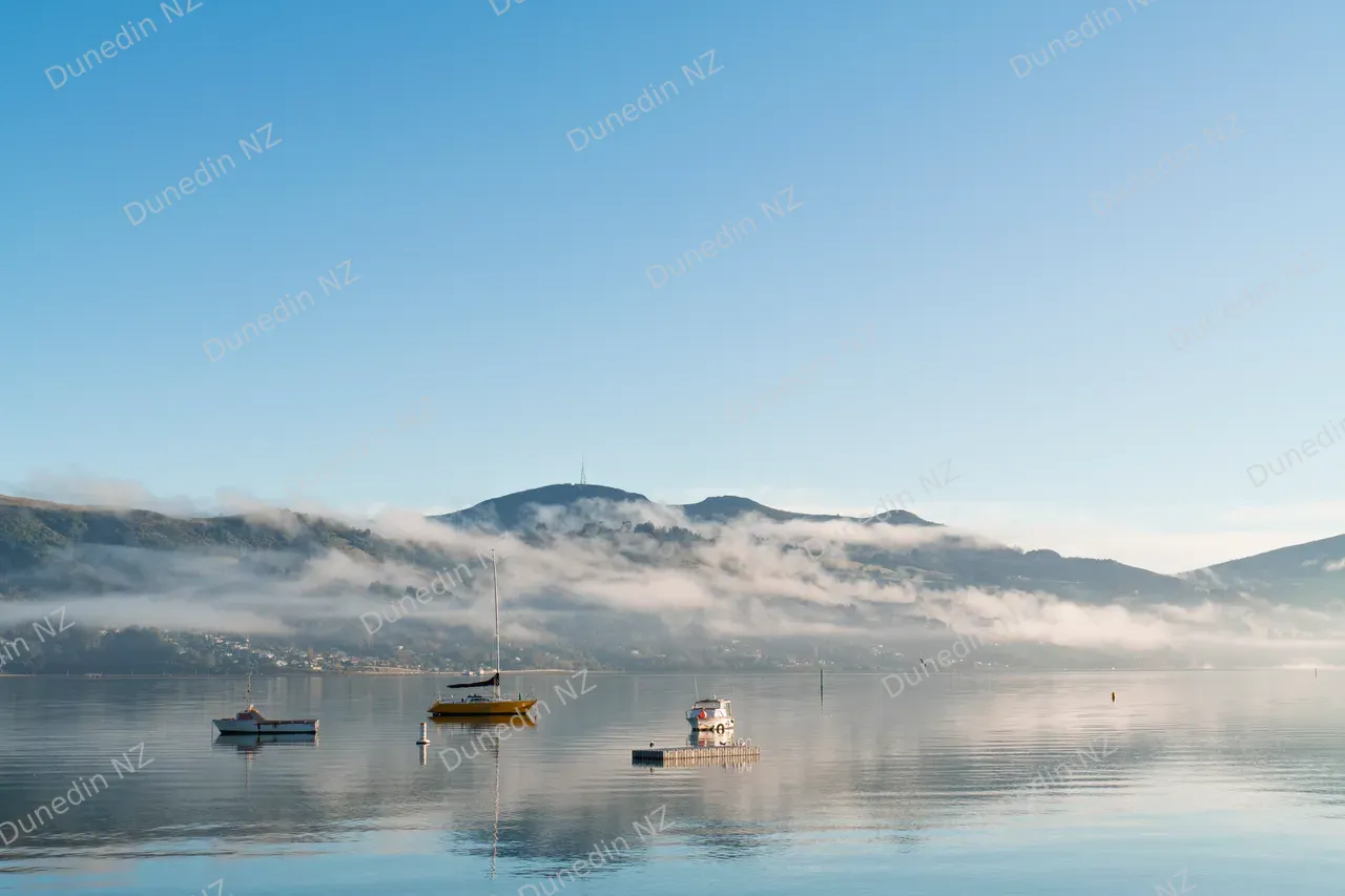 SCENIC_OtagoHarbourMorning_DunedinNZ_004