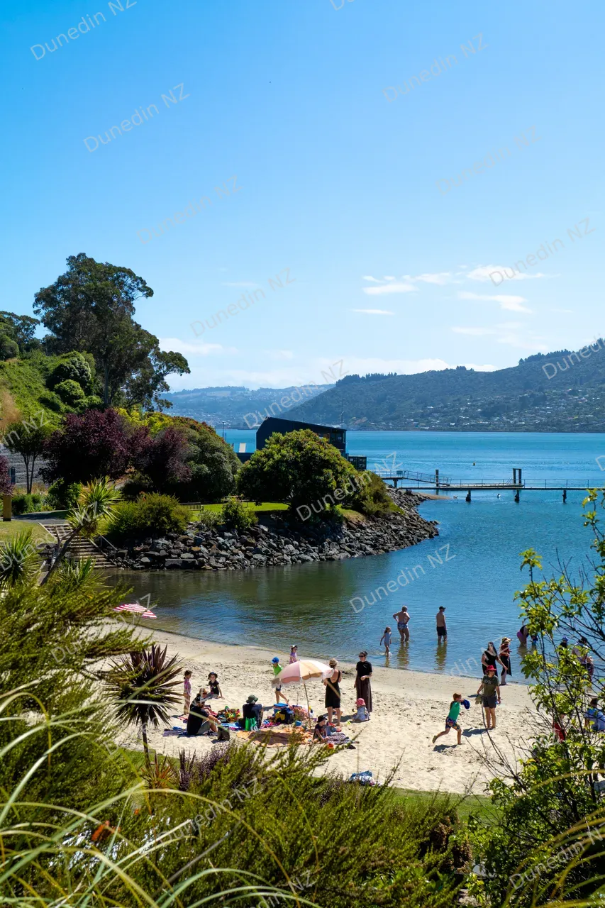 SCENIC_MacandrewBaySummer2025_DunedinNZ_001