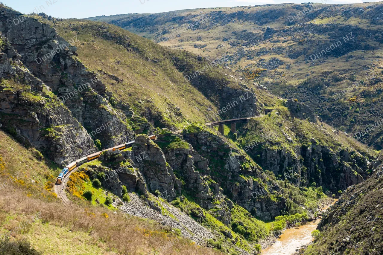 ATTRACTION_TaieriGorgeRailway2024_013_DunedinNZ