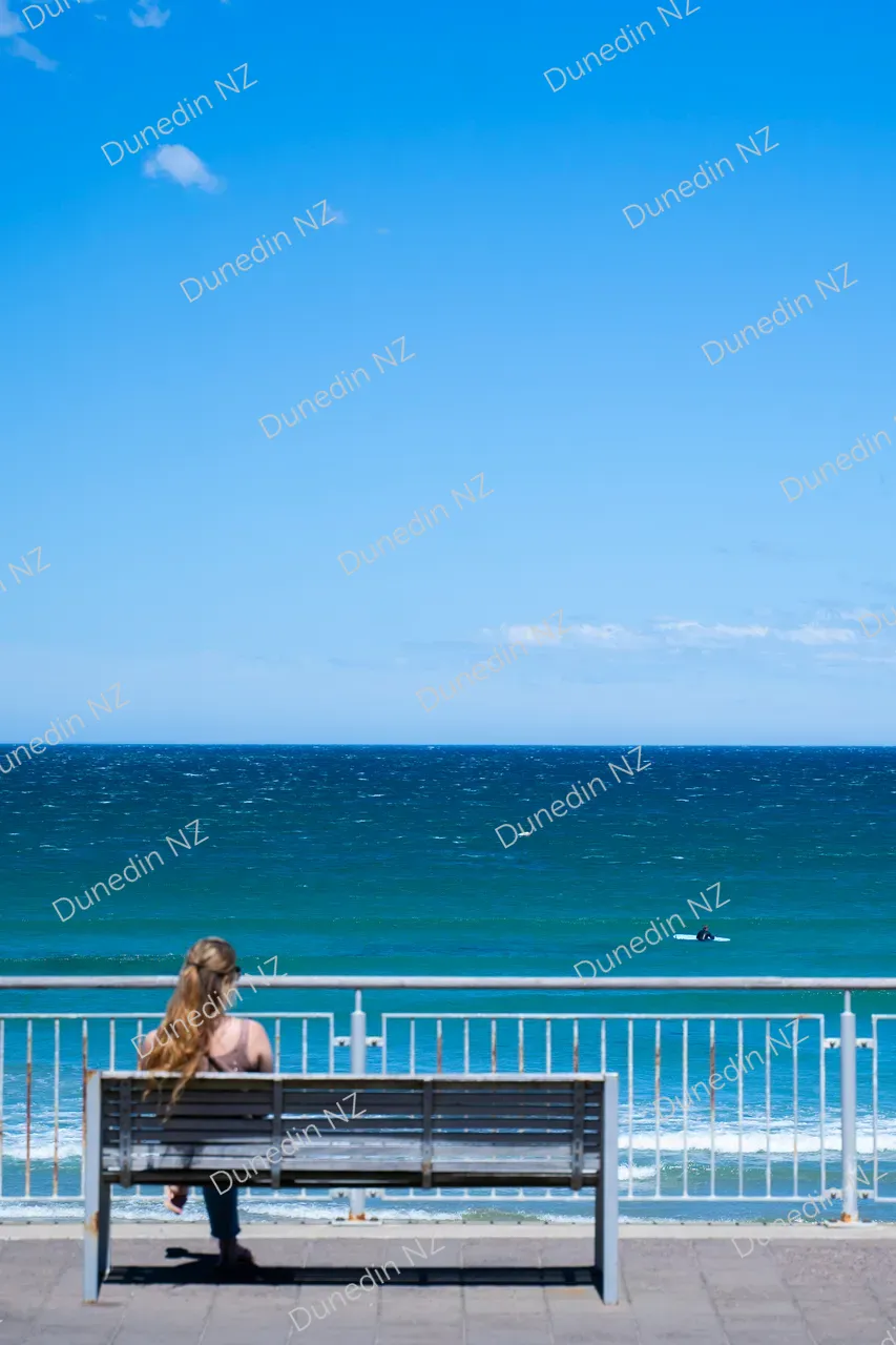 SCENIC_StClairEsplanade_DunedinNZ_003_DSC06662