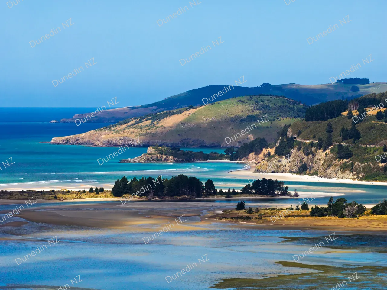SCENIC_BlueskinBay_DunedinNZ_DJI_20260208150619_0102_D