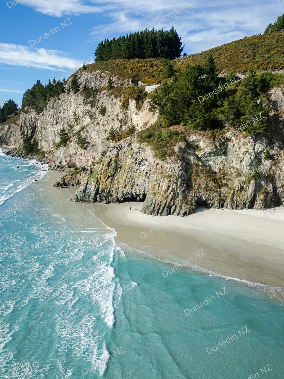 SCENIC_DoctorsPoint_DunedinNZ_IMG_3443