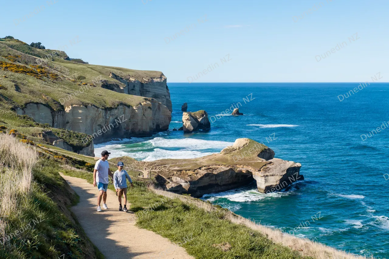 SCENIC_TunnelBeach2024_015_DunedinNZ