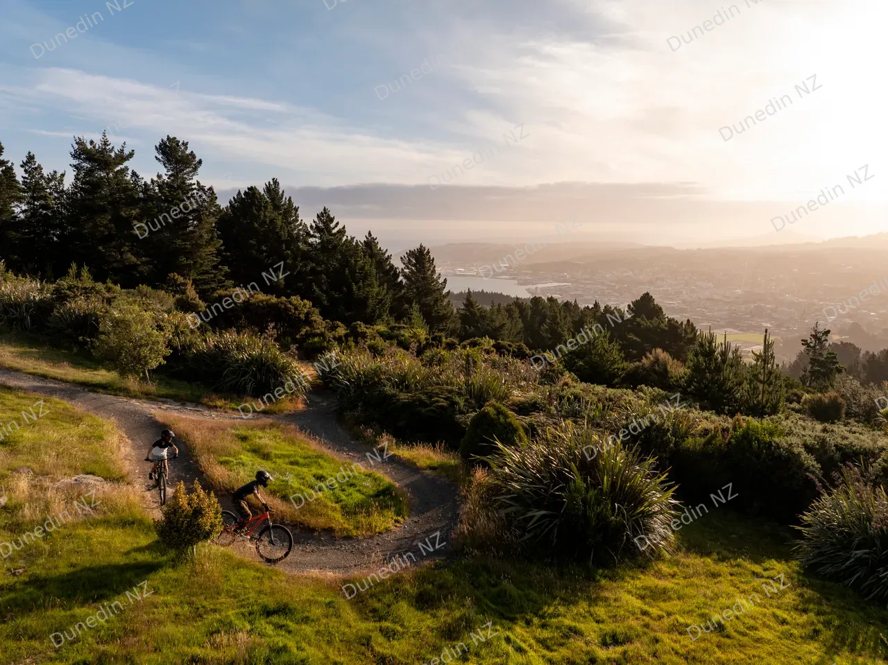 ACTIVITIES_SignalHillMTBSunset_DunedinNZ_003