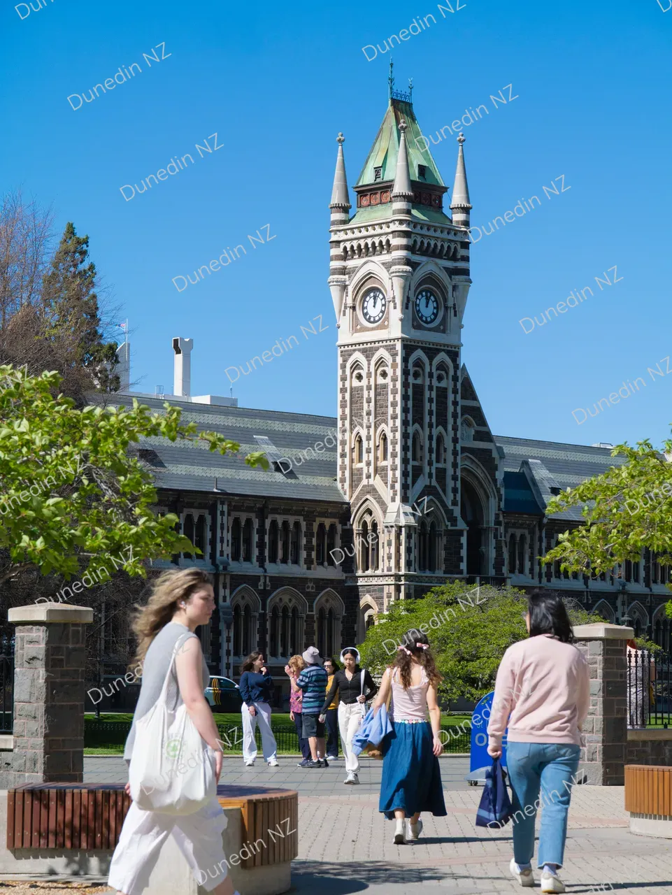 STUDY_UniversityOfOtagoClockTower_DunedinNZ_001_P1464891