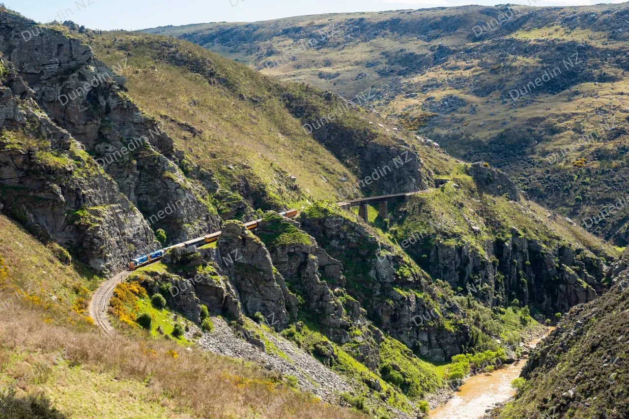 ATTRACTION_TaieriGorgeRailway2024_012_DunedinNZ