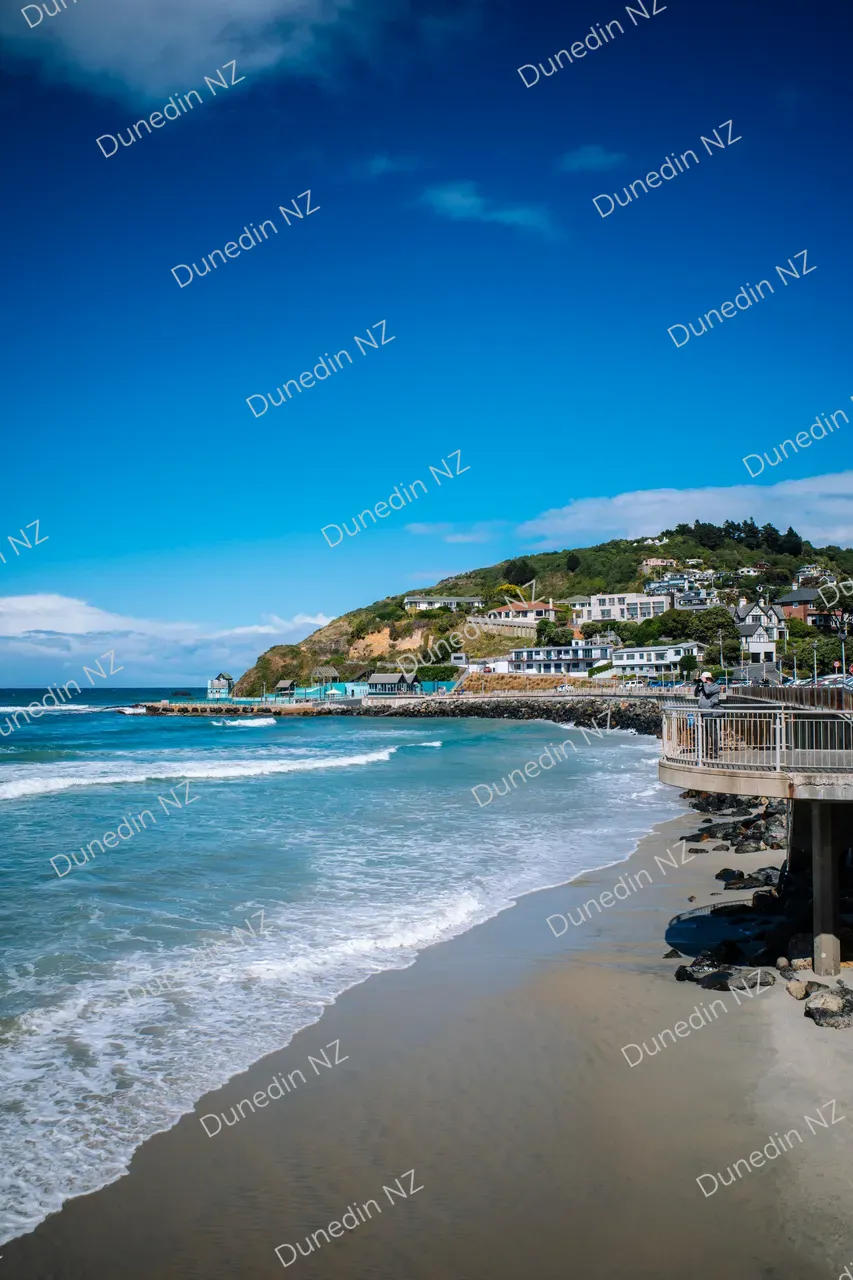 Esplanade  Dunedin-01