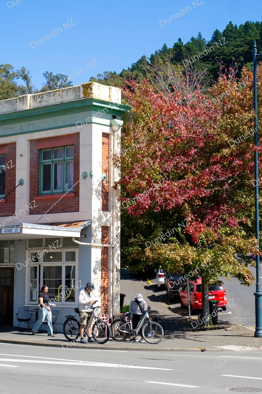 SCENIC_PortChalmersStreetScene_DunedinNZ_008_DSC09895