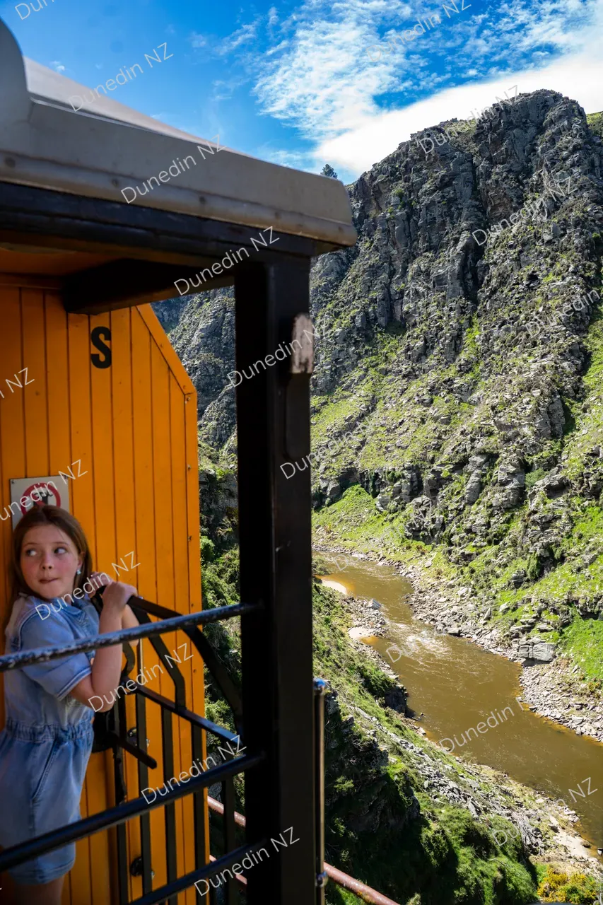 ATTRACTION_TaieriGorge_Onboard_058_DunedinNZ
