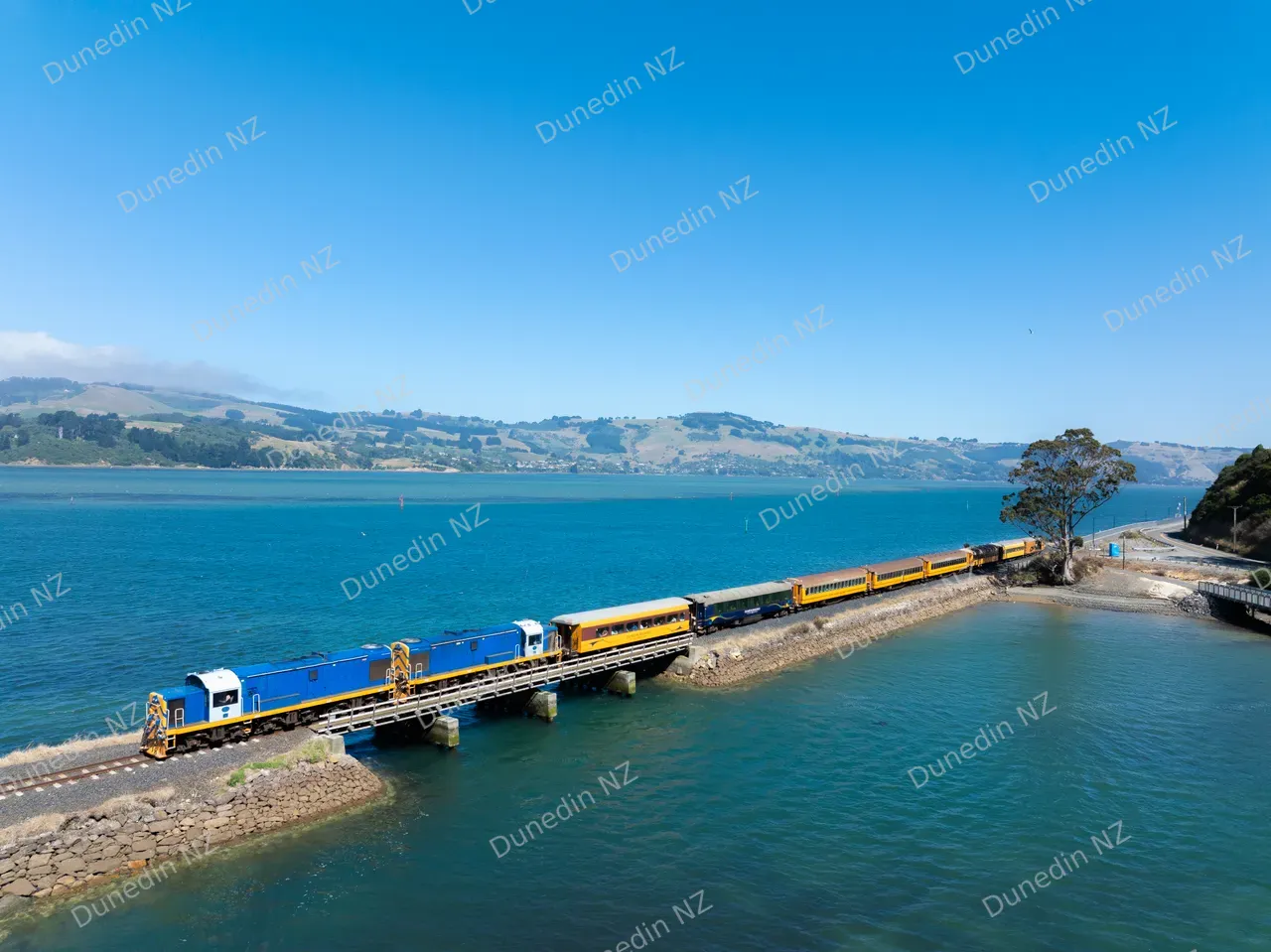 ATTRACTION_SeasiderTrain_020_DunedinNZ