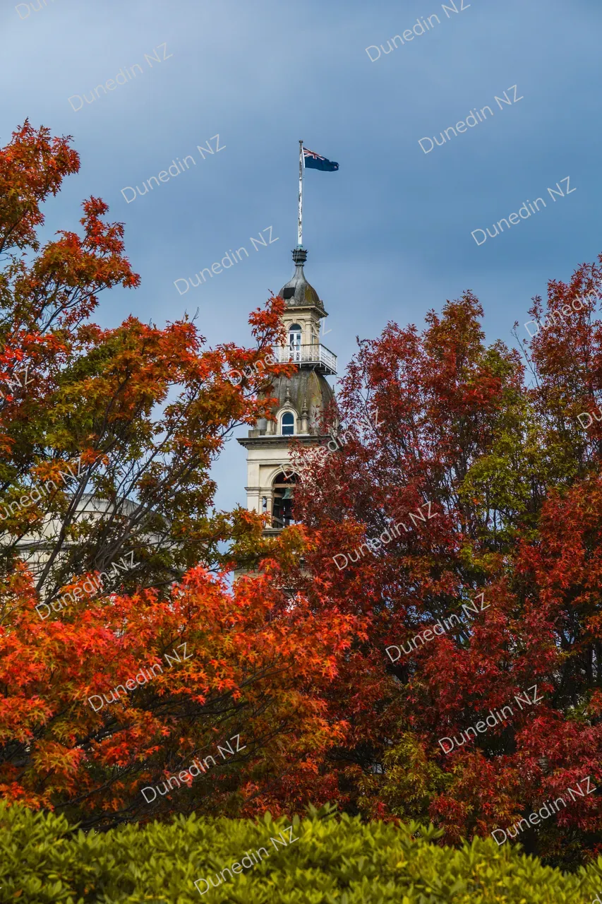 SCENIC_Autumn2025_004_DunedinNZ
