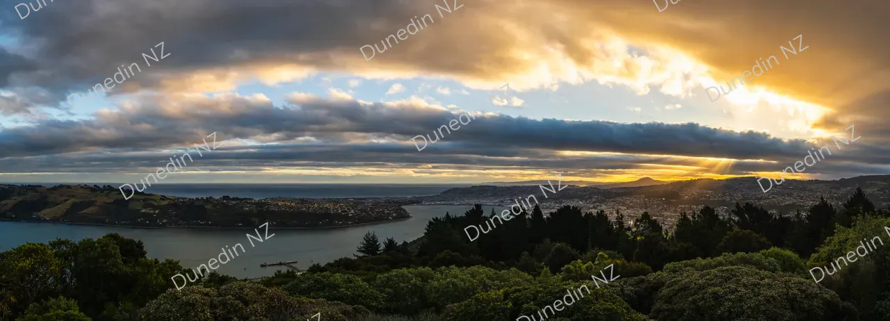 SCENIC_SignalHillSummerSunset_046_DunedinNZ