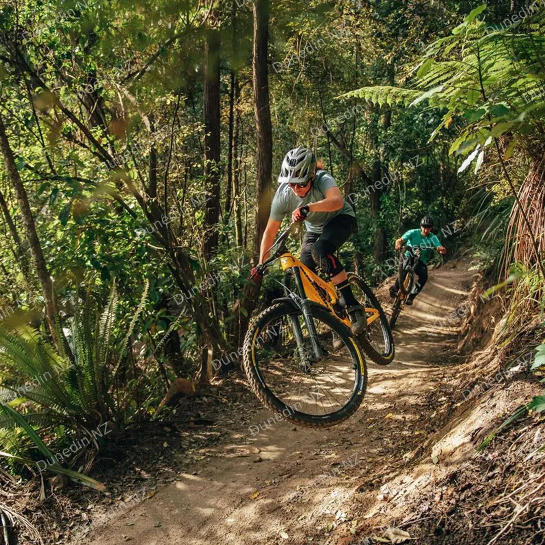 Biking_Tile_1