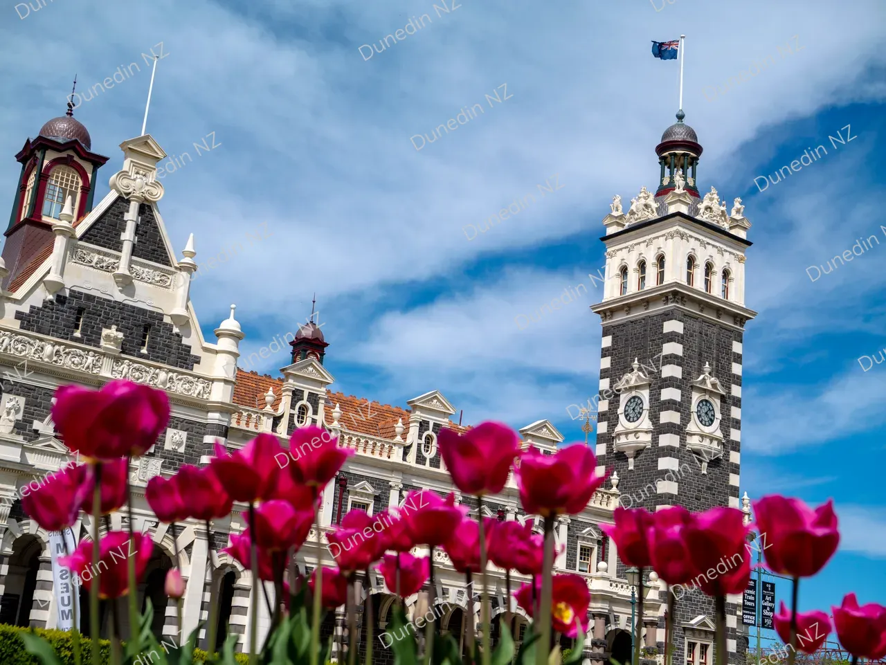 ATTRACTION_DunedinRailwayStationSpring_DunedinNZ_006_P1475228