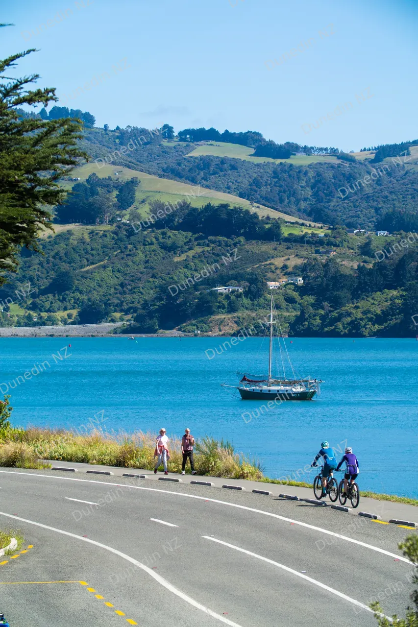 ACTIVITIES_TeAkaOtakouSummer2025_DunedinNZ_002