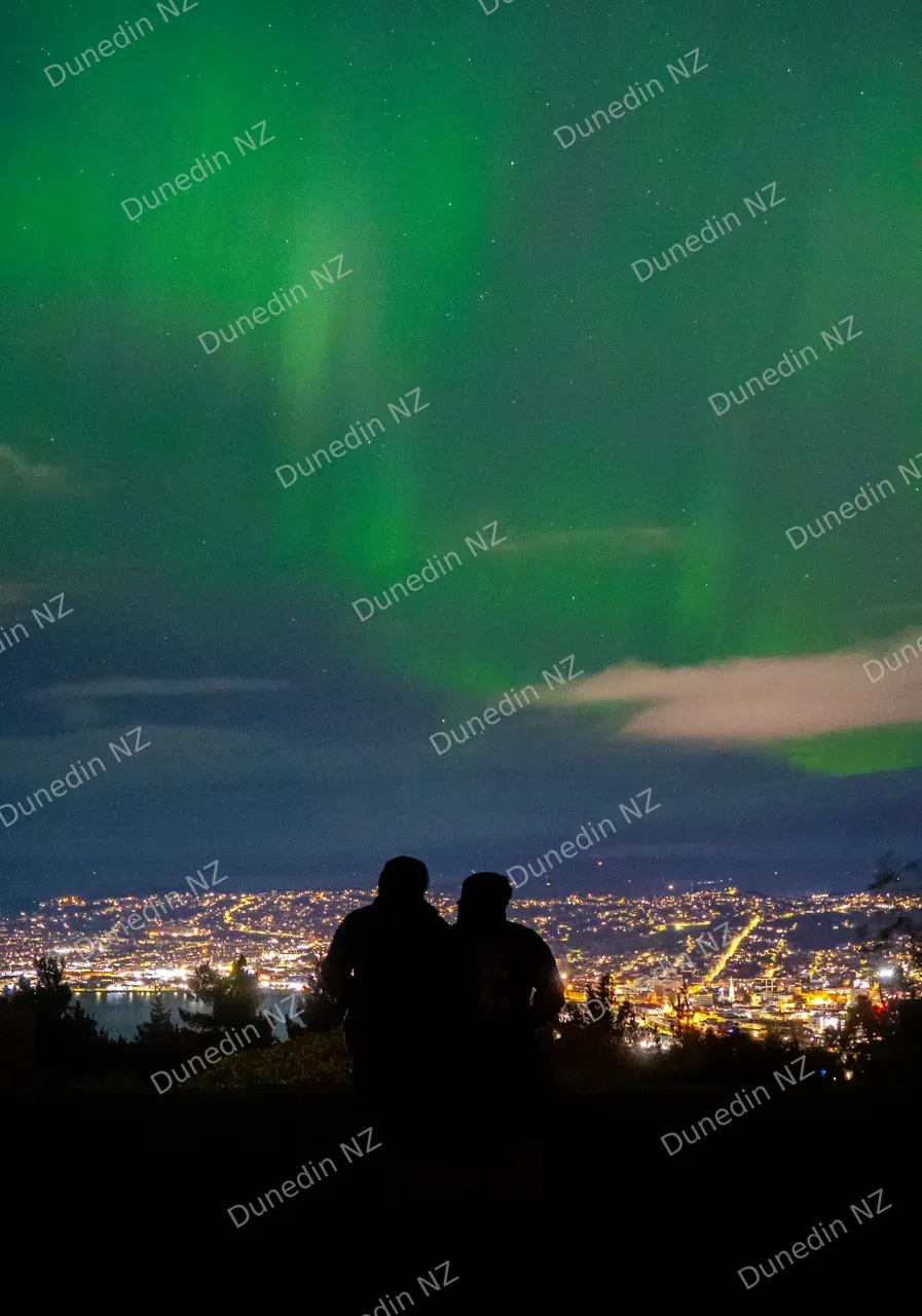 SCENIC_AuroraAustralisMay2024_009_DunedinNZ