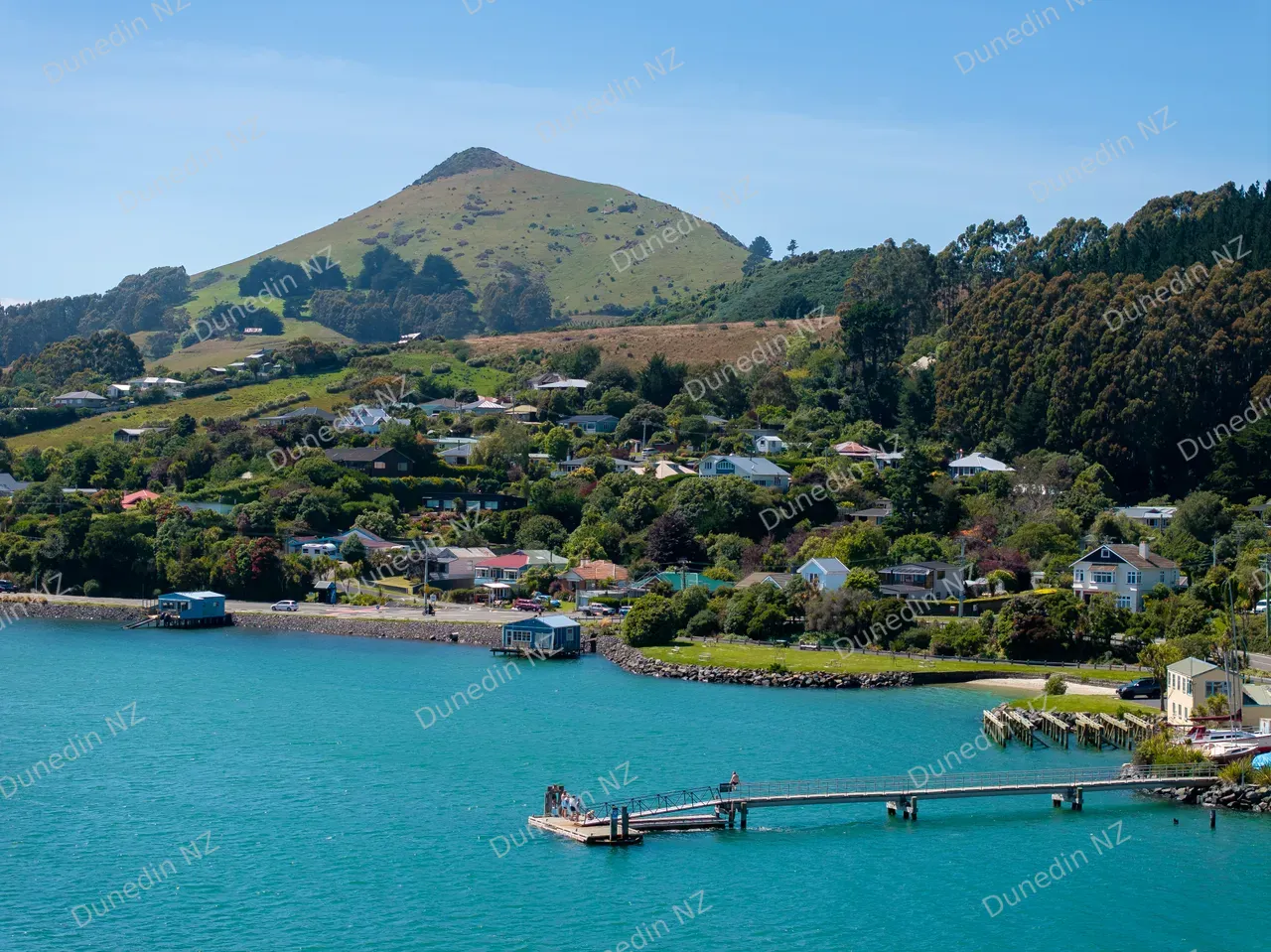 SCENIC_BroadBay_DunedinNZ_016