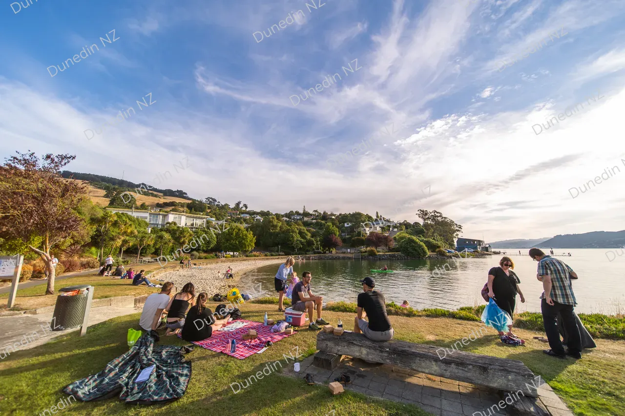 SCENIC_MacandrewBaySummer_011_DunedinNZ
