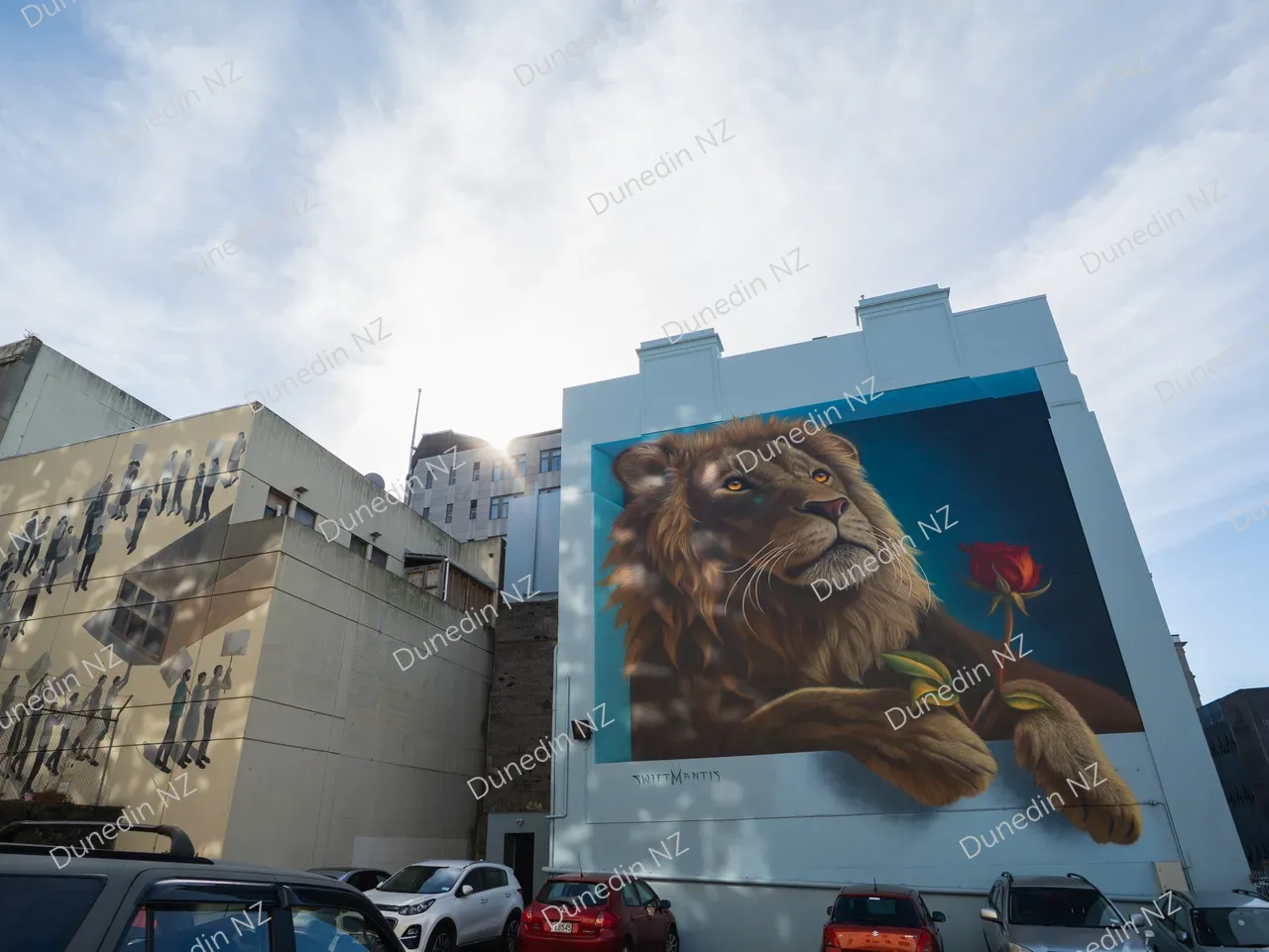 STREETART_LionHeartBYSwiftMantis_DunedinNZ_002_P1677541