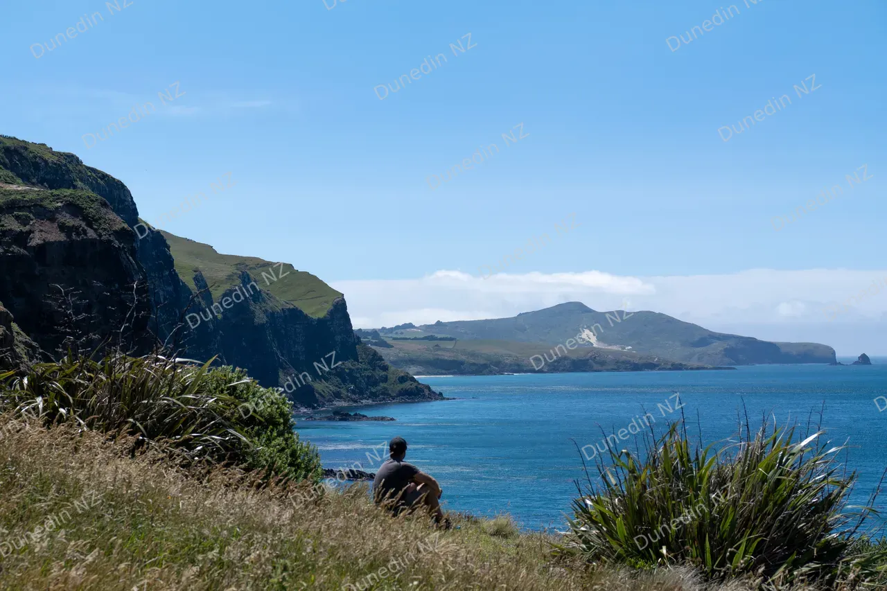 SCENIC_KaretaiTrackSummer2025_DunedinNZ_007