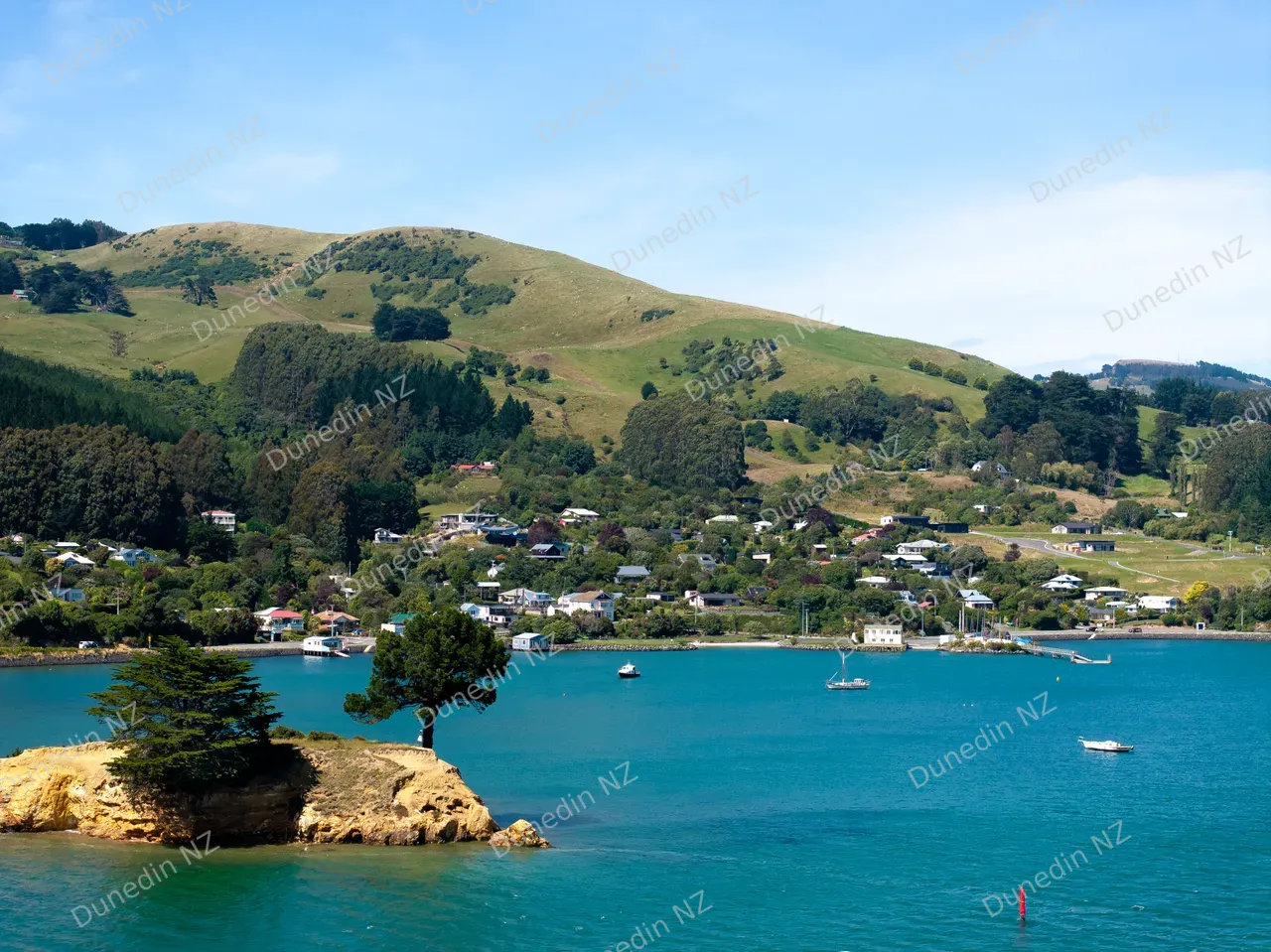 SCENIC_BroadBay_DunedinNZ_012