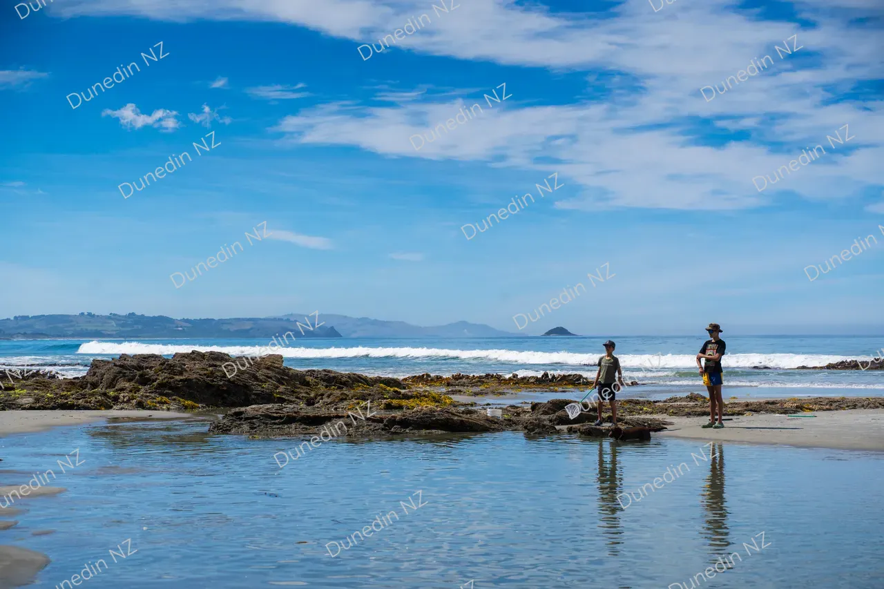 SCENIC_KuriBushBeach_015_DunedinNZ