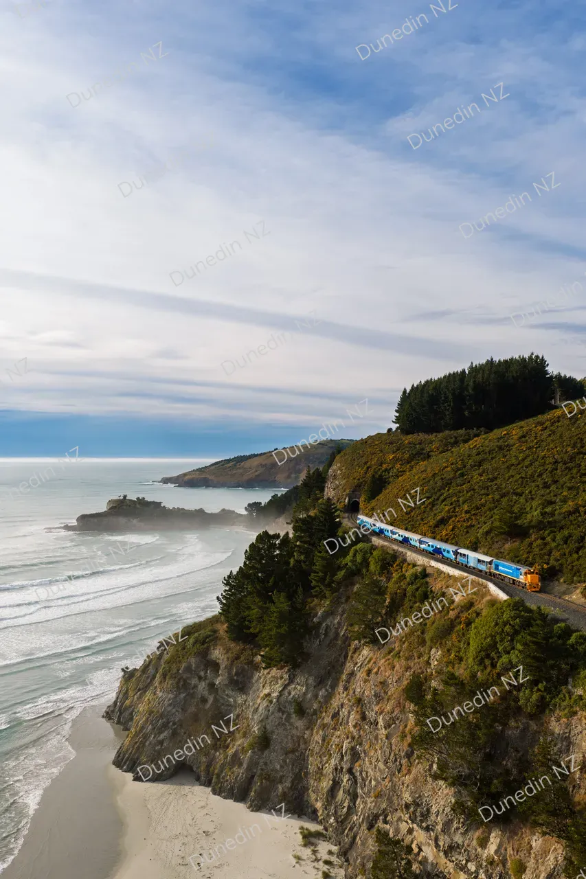 ATTRACTION_DunedinNZ_Mainlander_DJI_20260412091523_0176_D