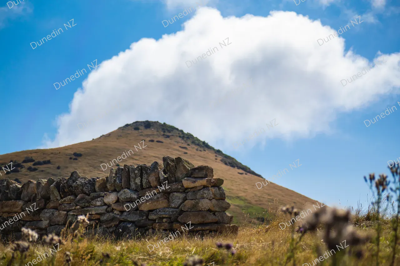 SCENIC_OtagoPeninsulaStoneWalls_001_DunedinNZ