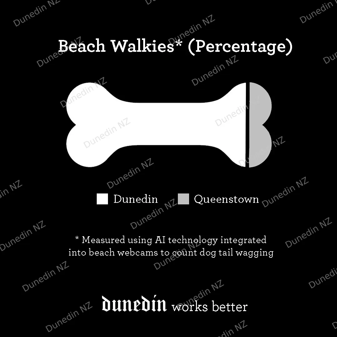 Beach Walkies