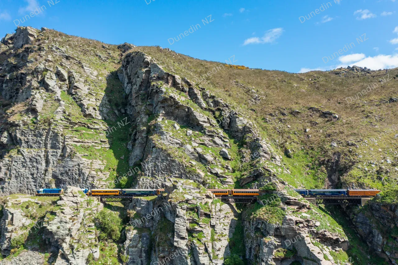 ATTRACTION_TaieriGorgeRailway2024_006_DunedinNZ