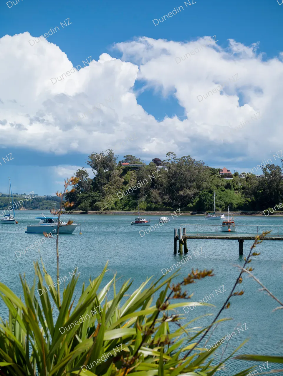 SCENIC_CareysBay_DunedinNZ_004_P1553622