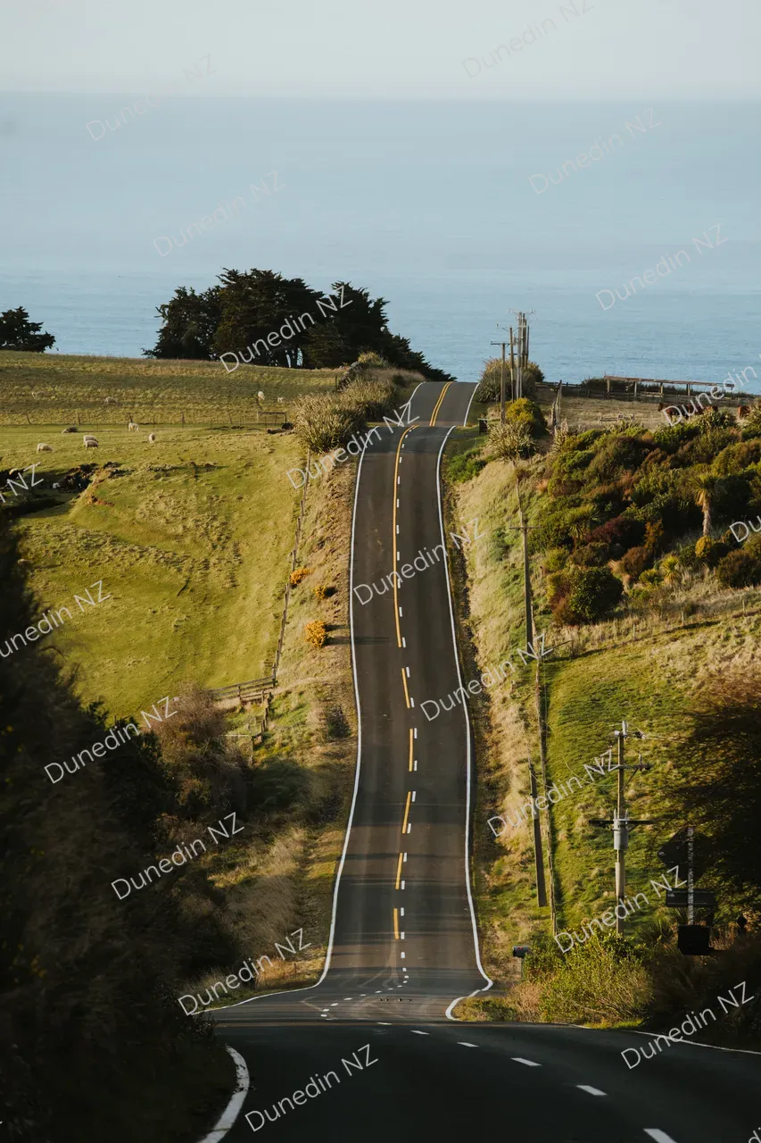 SCENIC_DunedinNZ_OtagoPeninsulaRoads_DSC02680