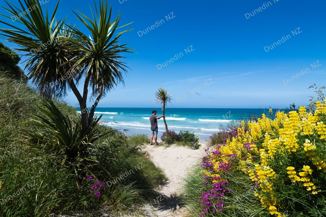 SCENIC_OkiaPyramidsVictoryBeach_006_DunedinNZ_