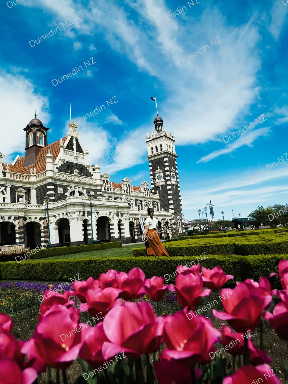 ATTRACTION_DunedinRailwayStationSpring_DunedinNZ_054