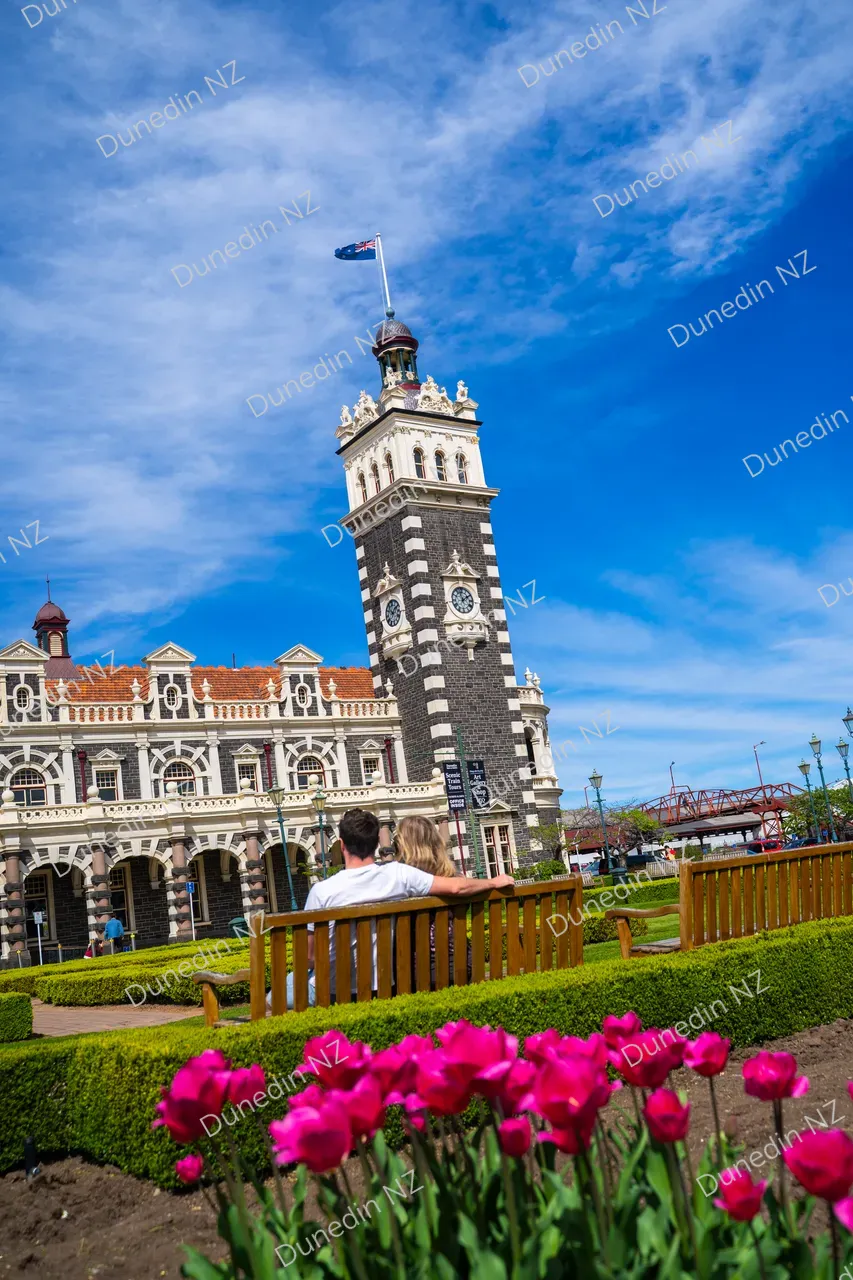 ATTRACTION_DunedinRailwayStationSpring2025_DunedinNZ_002_DSC03950