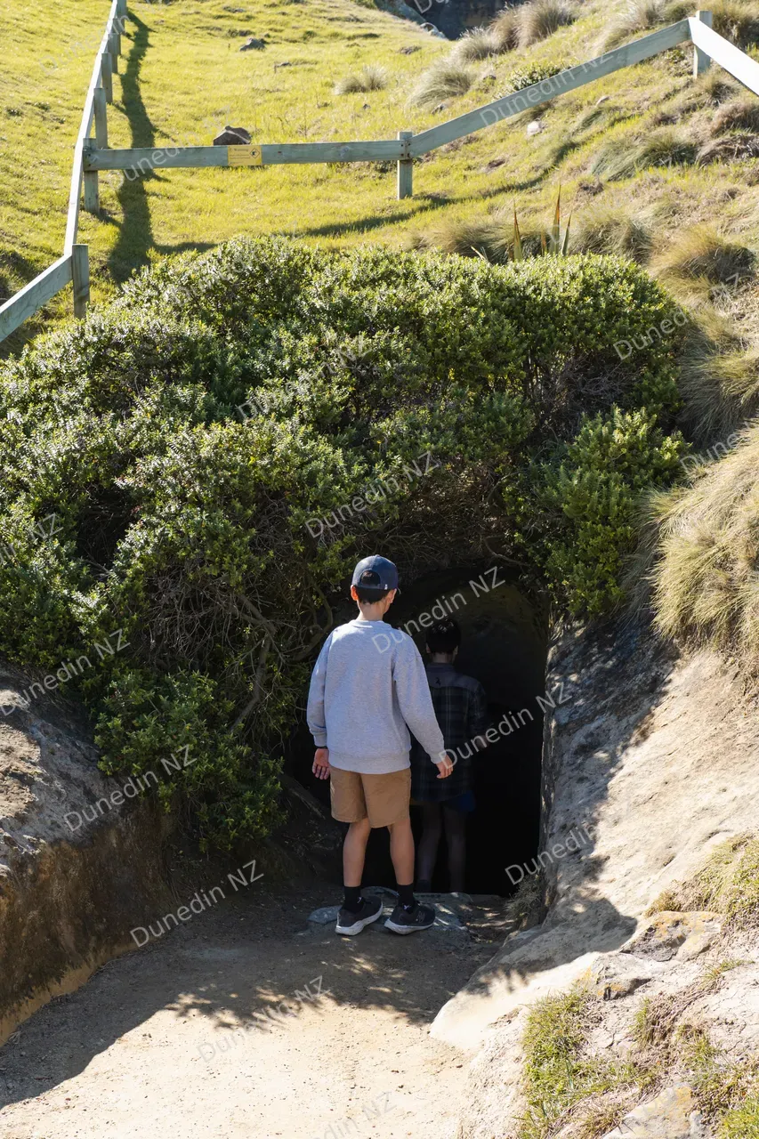 SCENIC_TunnelBeach2024_017_DunedinNZ