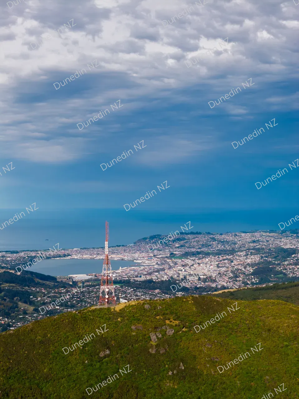 SCENIC_MtCargill_DunedinNZ_DJI_20260412094034_0196_D