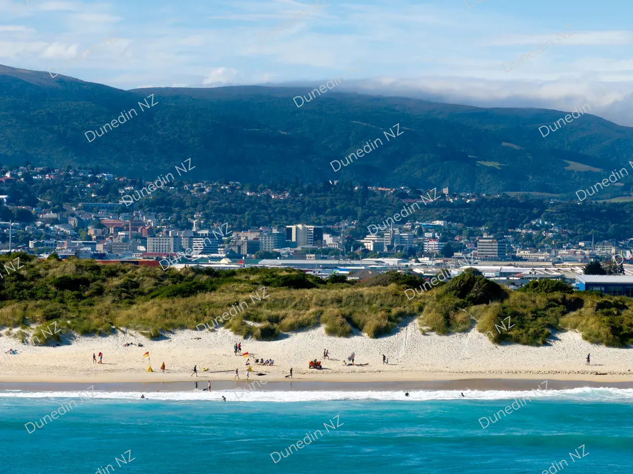 SCENIC_StKildaBeachSummer2025_DunedinNZ_001