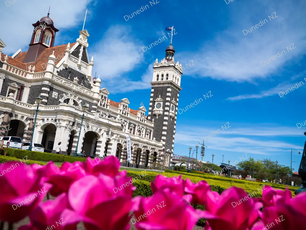ATTRACTION_DunedinRailwayStationSpring_DunedinNZ_017_P1475453