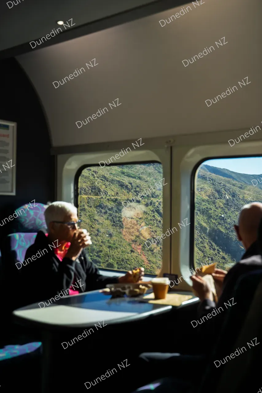 ATTRACTION_TaieriGorgeTrainDeepStream_003_DSC03820