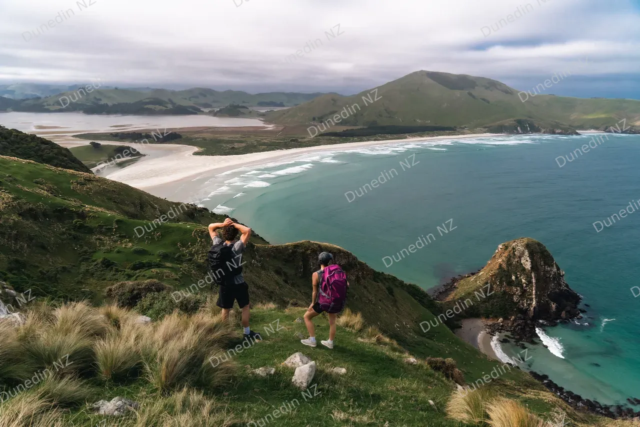 DunedinNZ - Sandymount Landscape