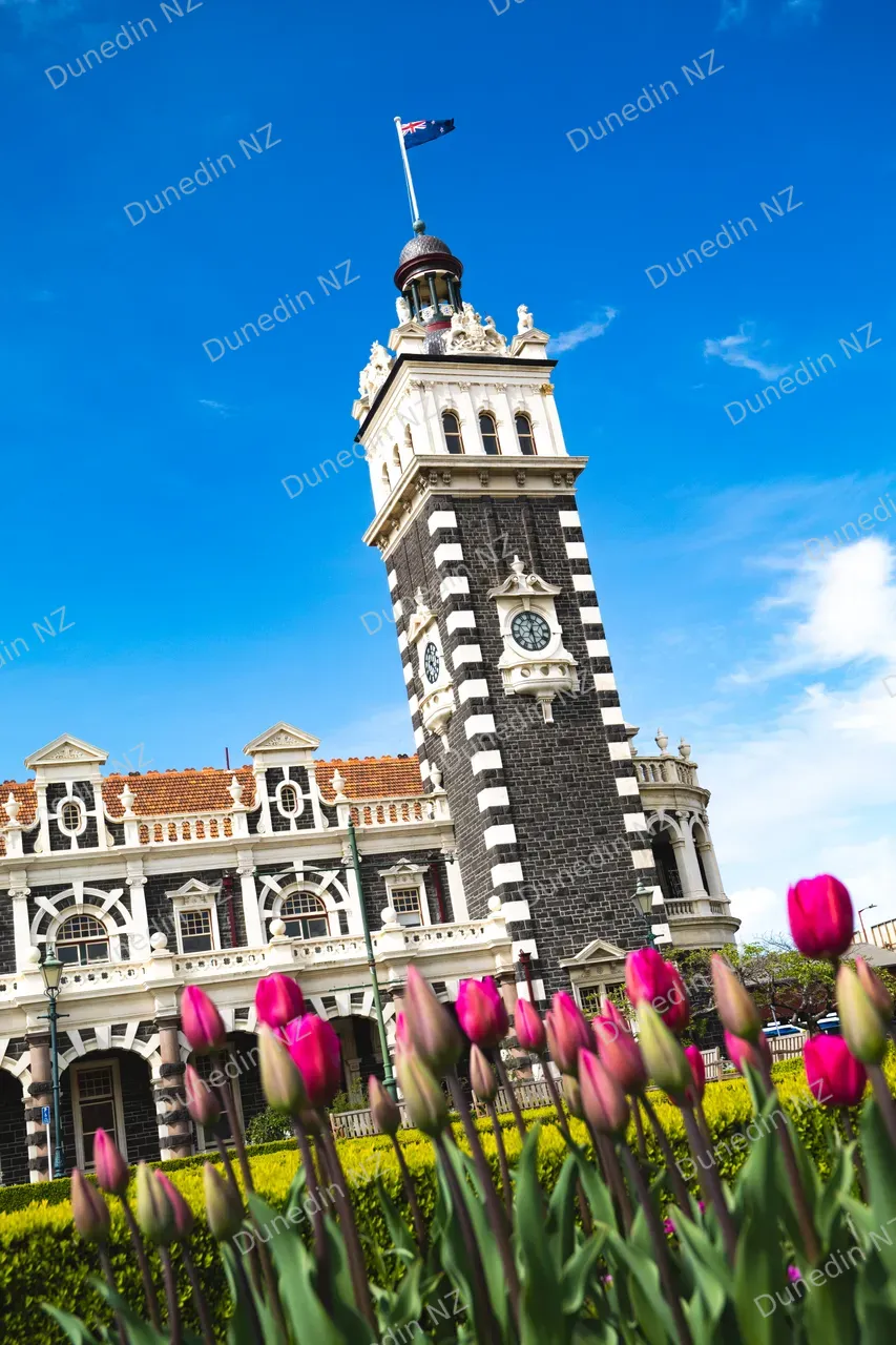 ATTRACTION_DunedinRailwayStationSpring2024_013_DunedinNZ