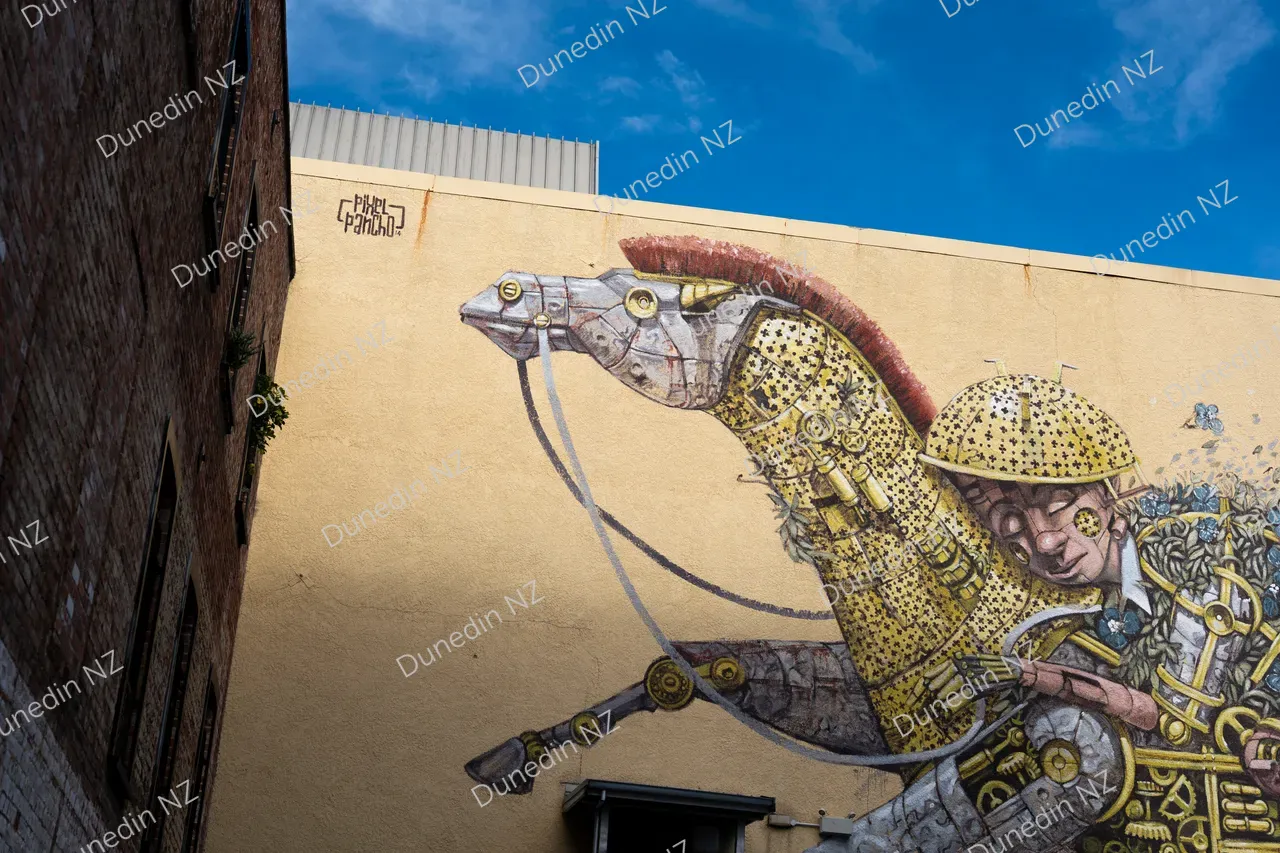 STREETART_StreetArtPixel Pancho_DunedinNZ_002_PHP_4556