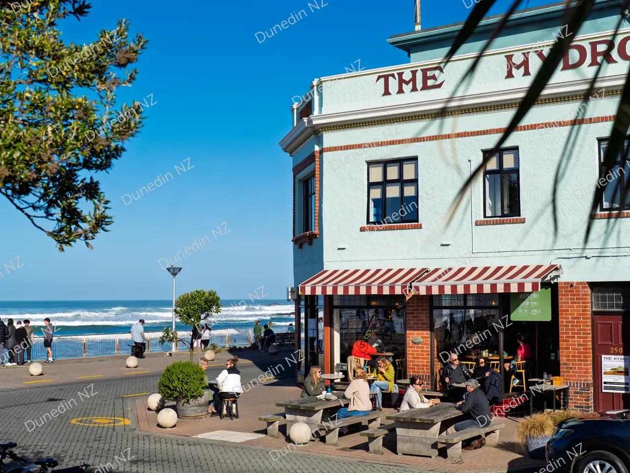 FOOD_DunedinNZ_Esplanade_P1407938