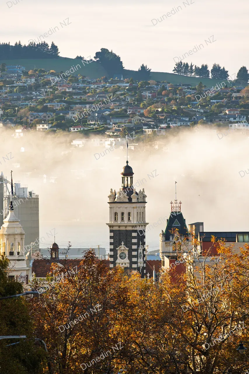 SCENIC_AutumnOctagon_DunedinNZ_002_DSC05675