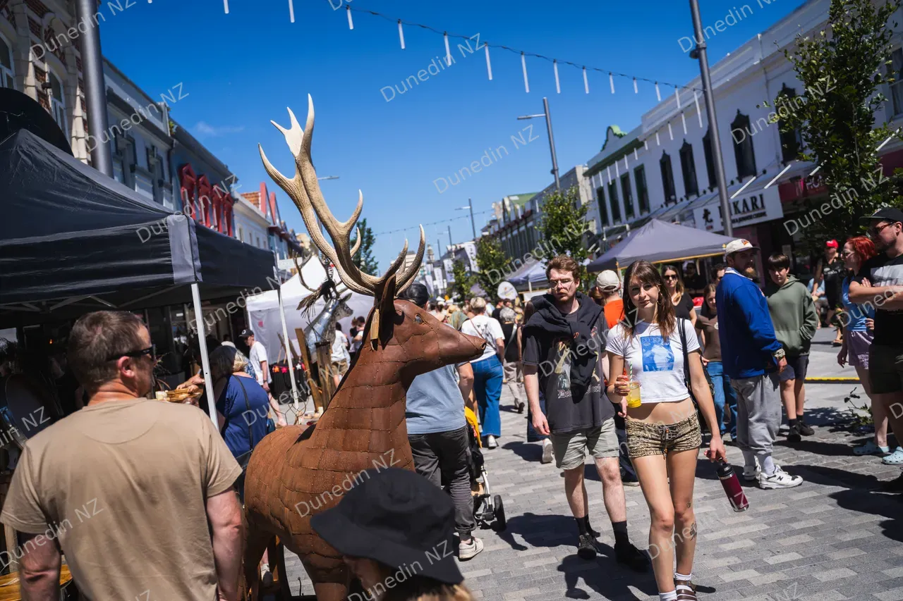 EVENT_GeorgeStreetMarket2025_DunedinNZ_046