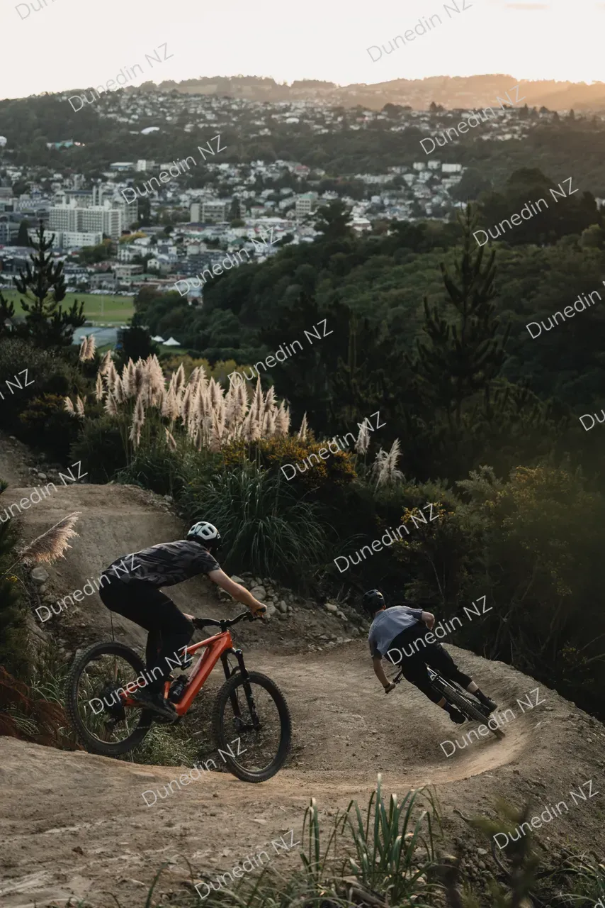 CMP-NZMTBR_Dunedin-HighRes-6264 copy 3